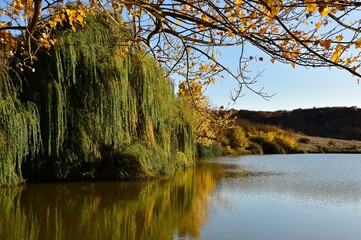 Obraz premium rural areas and landscapes. Autumn season and photos of trees and forests with yellowed leaves.