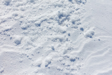 Obraz premium The snow is white and the ground is covered in it