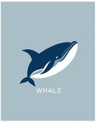 illustration of a whale