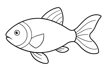 illustration of a fish