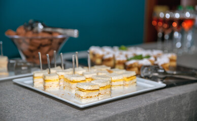Light snacks, sandwiches and sweets set for a buffet closeup.