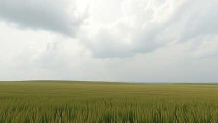 Obraz premium Serene and peaceful atmosphere in an open field on a cloudy day, green fields, cloudy sky, landscape