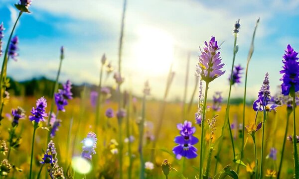 Depict a spring meadow in full bloom, with colorful wildflowers swaying gently in a soft breeze, while bees and butterflies flit between blossoms under a sunny blue sky