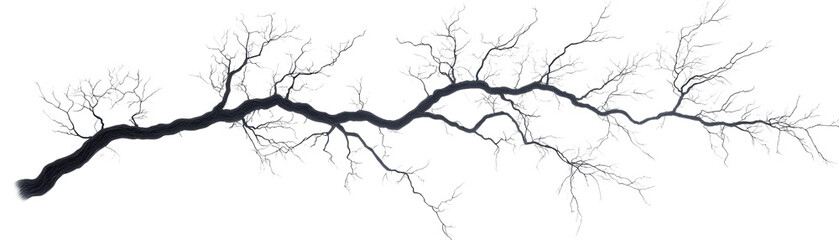 Elegant Bare Branch with Delicate Twigs and Intricate Structure for Nature Inspired Designs and Illustrations