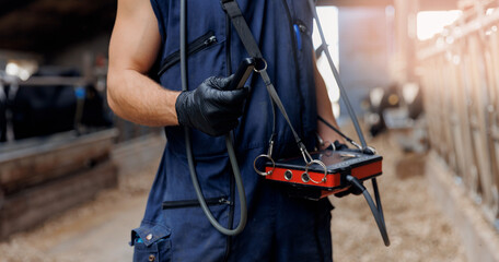 Ultrasound device for rectal checking cow pregnancy. Concept veterinary of industry dairy livestock...