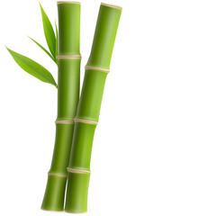 Obraz premium Green bamboo stalks standing tall with vibrant leaves, representing nature's tranquility and beauty in a minimalist setting