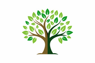 Fototapeta premium Tree, plant, vector