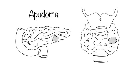 Apudoma