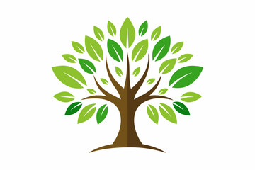 Tree, plant, vector