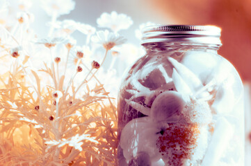 fine art colors of flowers in infrared glass