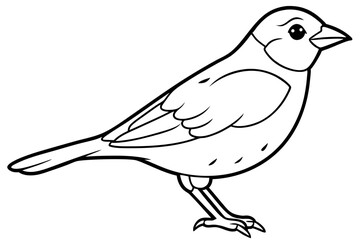 Bird, vector, animal, illustration