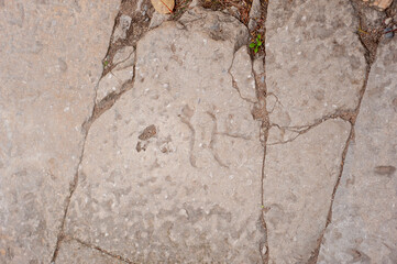 Textura
