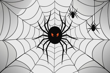 Spider, Halloween, animal