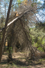 Road trip to los Pirineos, catalonia, spain