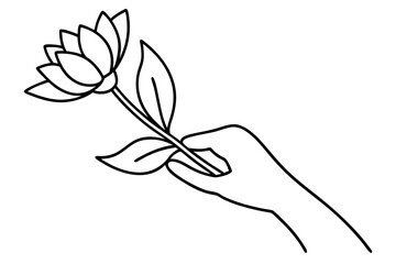 flower, vector, floral, nature, illustration