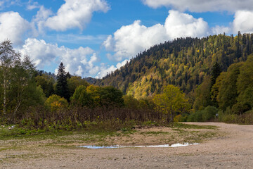 autumn morning walks in the nature park with views of the mountains and forest