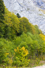 Fototapeta premium autumn morning walks in the nature park with views of the mountains and forest
