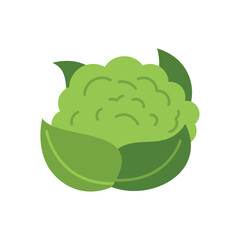 Simple illustration of a fresh green cauliflower with leaves, isolated on a white background