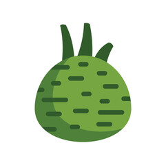 This illustration features a green kohlrabi root vegetable growing, with lush green leaves sprouting from the top