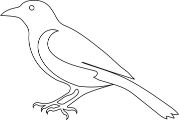 magpie birds vector silhouette black and white art