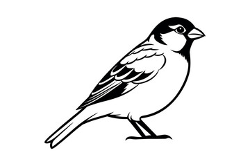 Detailed of sparrow bird black and white silhouette vector illustration