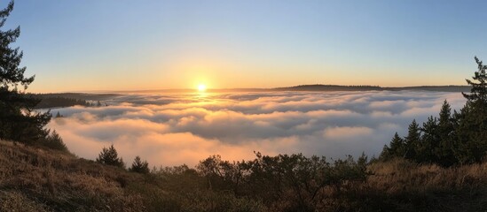 Obraz premium Golden sunrise illuminating foggy landscape with trees framing the scene creating a serene morning atmosphere in nature.