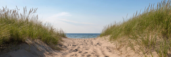 A serene sandy path winds through tall grass-covered dunes under a clear blue sky, leading invitingly towards the vast, endless expanse of the ocean horizon.