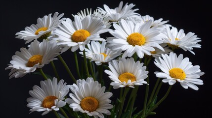 Fototapeta premium A bouquet of white daisies arranged in a classic vase, great for still life photography or flower-related themes