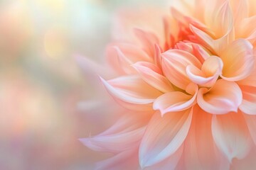 Fototapeta premium A detailed image of a pink flower against a blurred background