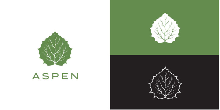 aspen leaf logo, Symbol Vector Design Template.