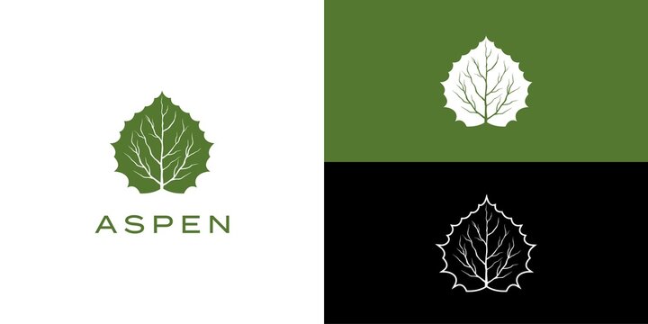 aspen leaf logo, Symbol Design Template.