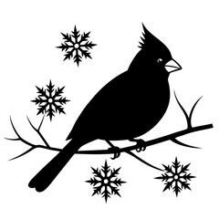 Christmas  Cardinal on Branch with white background 