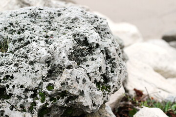 Close-up of a stone with numerous small holes, covered in soft green moss