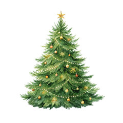 Fototapeta premium christmas tree isolated on white