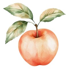 A watercolor illustration of a ripe apple with green leaves, showcasing its smooth texture and natural colors, perfect for fruit-themed art.