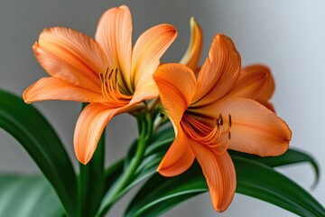 Fototapeta premium A close-up shot of an orange flower in a decorative vase, ideal for use in still life photography or as a symbol of warmth and welcome