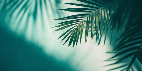 Vibrant image of palm leaves with shadows on a turquoise backdrop, creating a relaxing and tropical atmosphere, perfect for a tropical-themed project or design.
