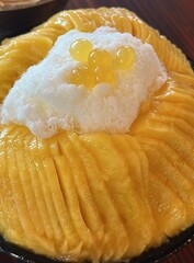 A refreshing bowl of bingsu, topped with fluffy shaved ice, vibrant fruits, and sweet toppings. Perfect for summer treats, this Korean dessert captures the essence of indulgence and delight.
