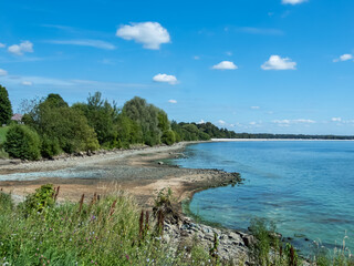River bank with blue-green algae (Cyanobacteria) blooming in water, producing toxins that are harmful to humans and animals