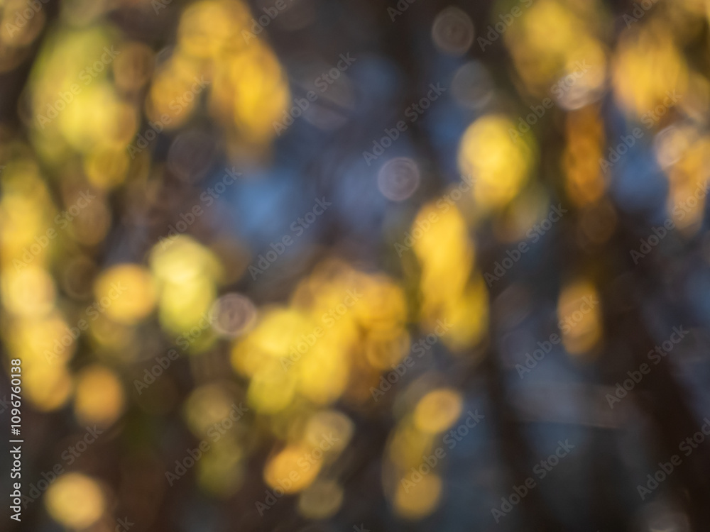 Wall mural bokeh effect and purposely blurred view of sunlight. blurry background with photographic bokeh effec