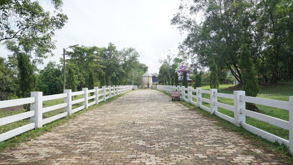 Neatly Arranged Paving Block Pathway in a Small Town Public Area