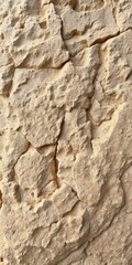 Close-up of a rough, textured stone surface in natural earth tones, exterior