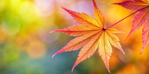 A vibrant autumn leaf, bathed in the warm glow of sunlight, displays intricate veins and a palette of orange, red, and yellow hues.