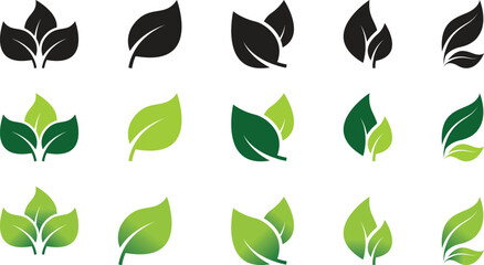 Ecology green leaf vector icon. Isolated natural organic illustration. Vegetarian or vegan label. Green eco logo