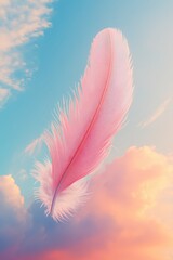 Naklejka premium Floating Feather in Sunset Sky 