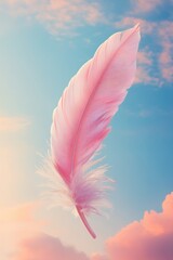 Naklejka premium Floating Feather in Sunset Sky 
