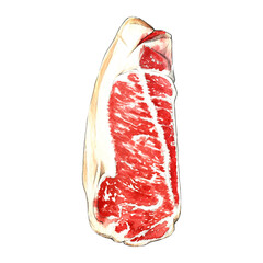 Raw steak watercolor illustration on white background