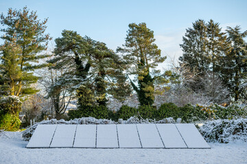 Garden with snow covered solar panels and trees 