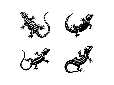 4 bundle of lezard silhouette art