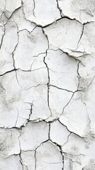 Obraz premium Close-up of a weathered, cracked white wall revealing textured patterns and aged surfaces.
